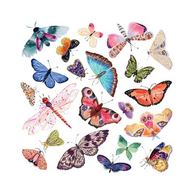 Butterfly Scatter - Complete by Stephanie Corfee art print