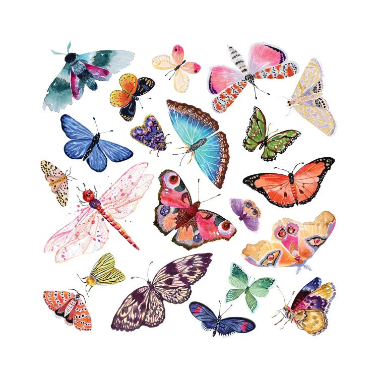 Butterfly Scatter - Complete