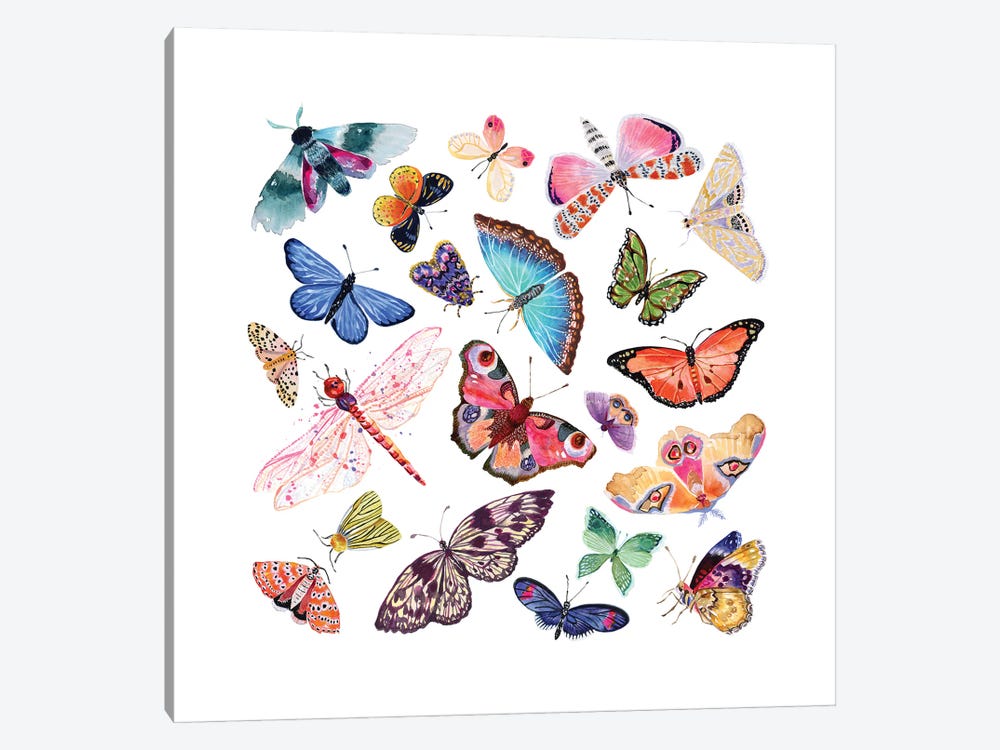 Butterfly Scatter - Complete by Stephanie Corfee 1-piece Canvas Art