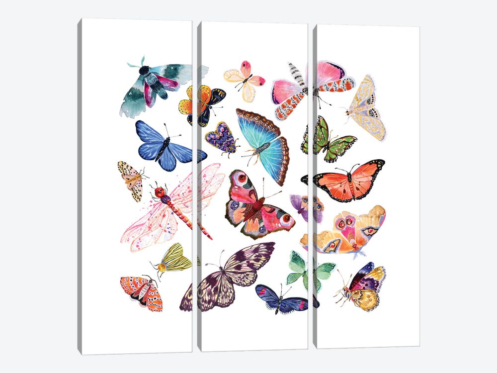 Butterfly Scatter - Complete by Stephanie Corfee 3-piece Canvas Art