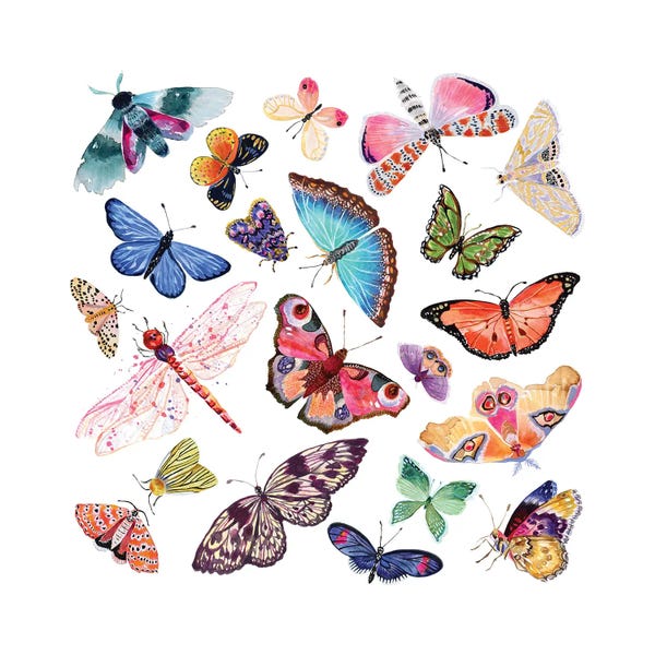 Stephanie Corfee: Butterfly Scatter - Complete by Stephanie Corfee