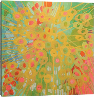 Sundrops II Canvas Art Print - Stephanie Corfee