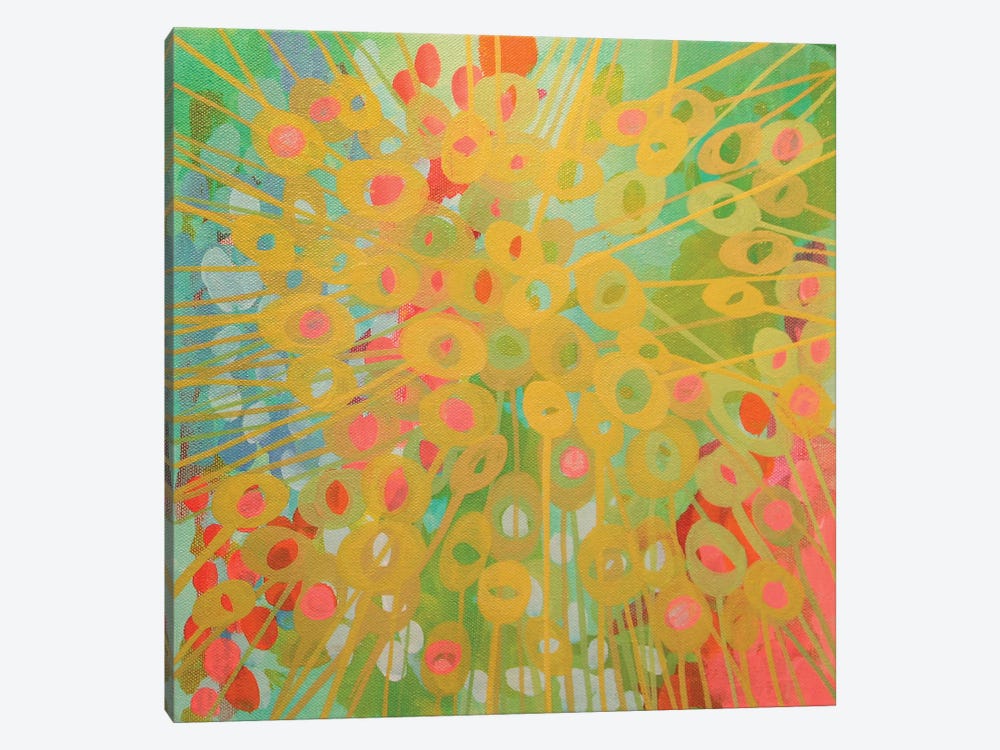 Sundrops II by Stephanie Corfee 1-piece Canvas Print