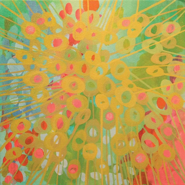 Stephanie Corfee: Sundrops II by Stephanie Corfee