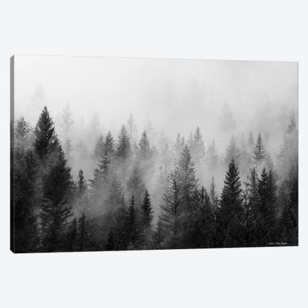 Forest Canvas Print #STD115} by Seven Trees Design Canvas Art