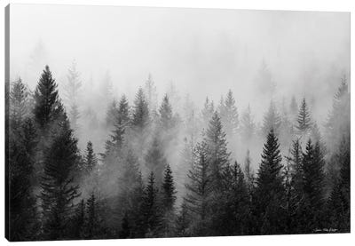 Forest Canvas Art Print - Black & White Art