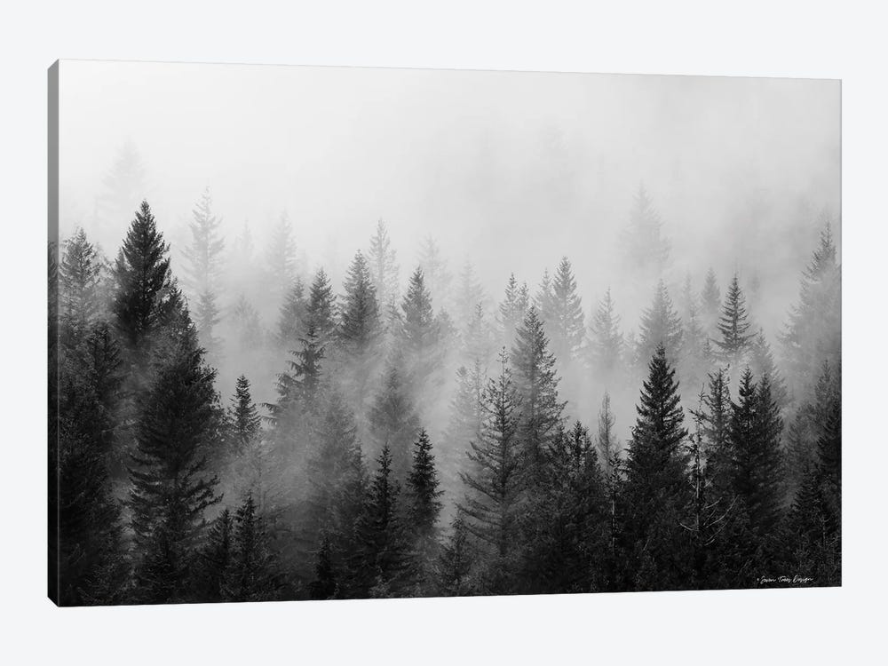 Forest by Seven Trees Design 1-piece Canvas Wall Art