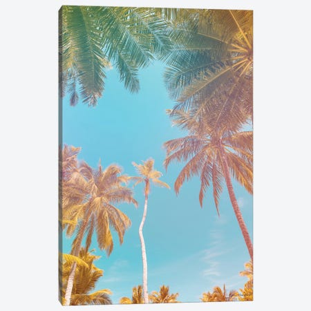 Palms in Paradise Canvas Print #STD131} by Seven Trees Design Canvas Print