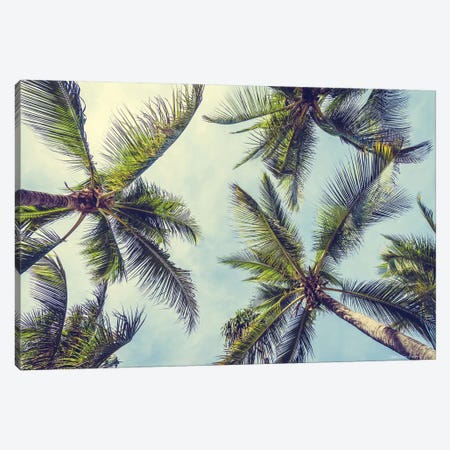 Palms in the Sky Canvas Print #STD132} by Seven Trees Design Canvas Art Print