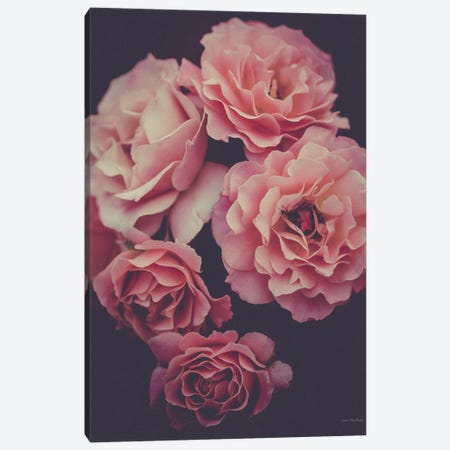 Dreamy Roses Canvas Print #STD148} by Seven Trees Design Canvas Art