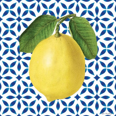 Mediterranean Lemon by Seven Trees Design art print
