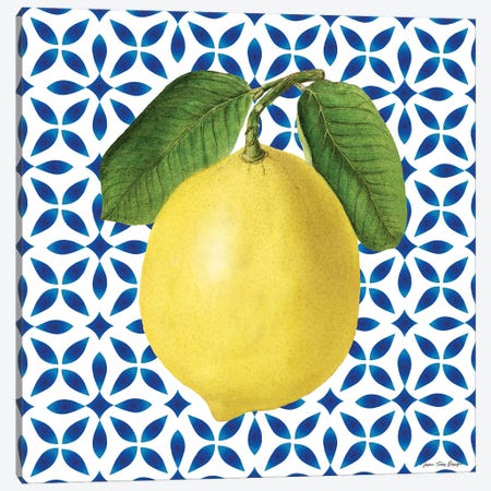 Mediterranean Lemon Canvas Print #STD164} by Seven Trees Design Art Print