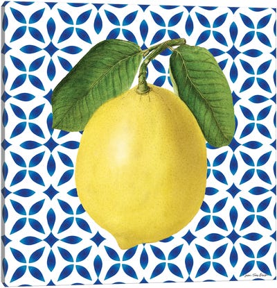 Mediterranean Lemon Canvas Art Print - Mediterranean Décor
