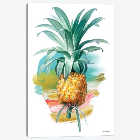 Pineapple I Canvas Print #STD167} by Seven Trees Design Canvas Print