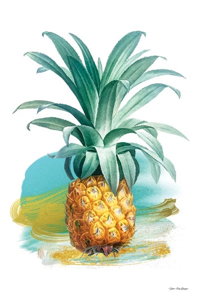 Pineapple II by Seven Trees Design art print
