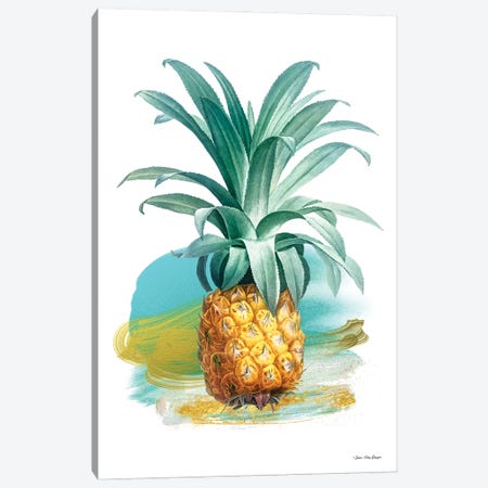 Pineapple II Canvas Print #STD168} by Seven Trees Design Canvas Art
