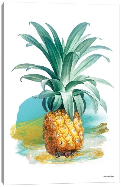 Pineapple II Canvas Art Print - Seven Trees Design