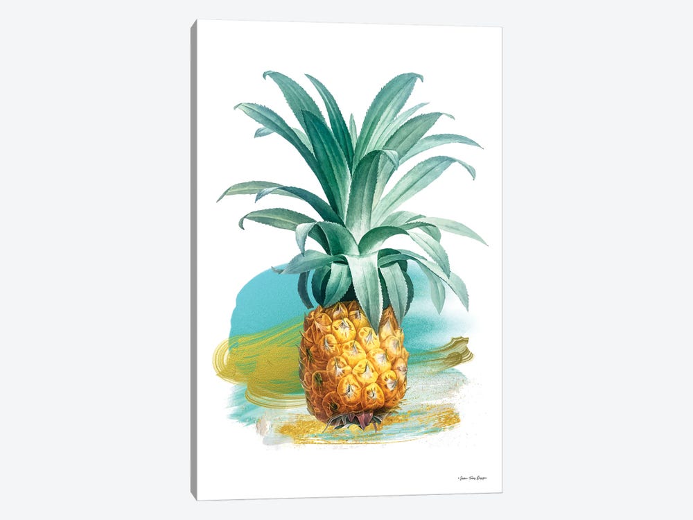 Pineapple II by Seven Trees Design 1-piece Canvas Artwork