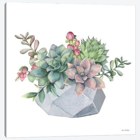 Watercolor Succulents Canvas Print #STD175} by Seven Trees Design Canvas Artwork