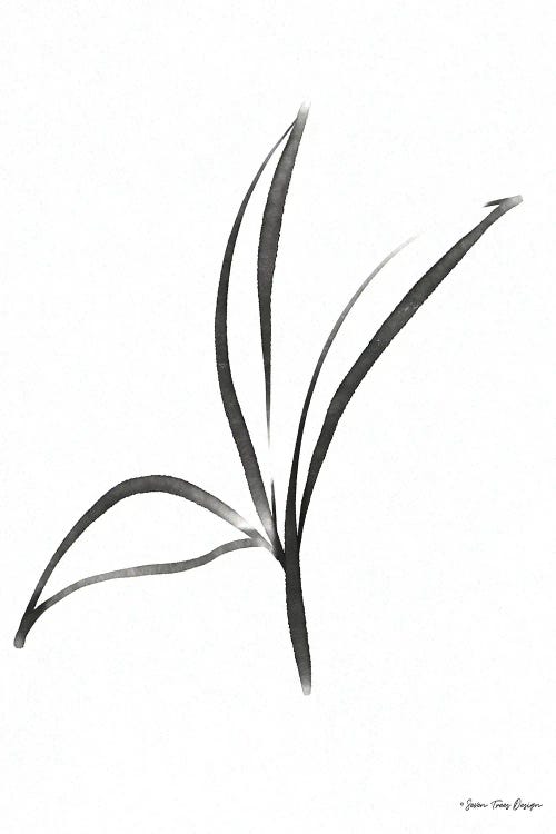 Black Botanical Watercolor by Seven Trees Design wall art