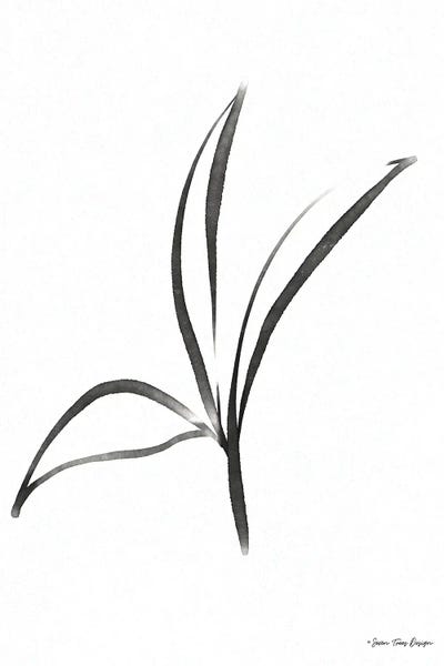 Black & White Florals: Black Botanical Watercolor by Seven Trees Design