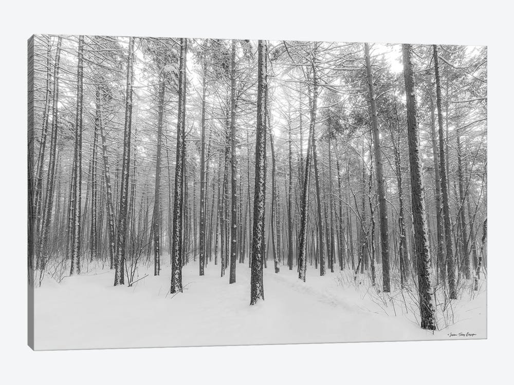 Let It Snow Forest by Seven Trees Design 1-piece Canvas Print
