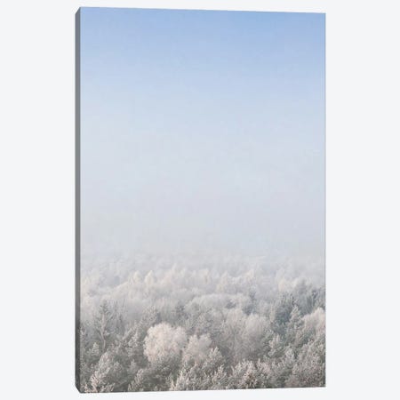 Snow Forest From The Sky Canvas Print #STD207} by Seven Trees Design Canvas Wall Art