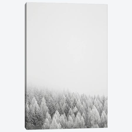 The White Forest Canvas Print #STD219} by Seven Trees Design Canvas Wall Art