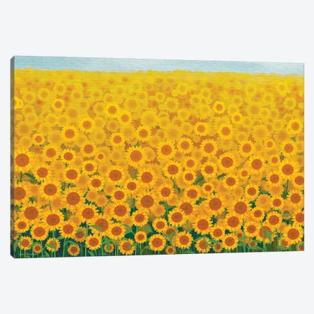 Field Of Sunflowers Canvas Print #STD226} by Seven Trees Design Canvas Wall Art