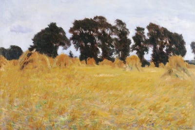 The Field by Seven Trees Design canvas print