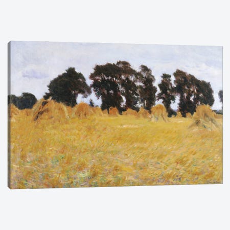 The Field Canvas Print #STD232} by Seven Trees Design Canvas Art