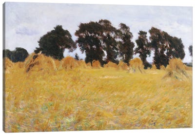 The Field Canvas Art Print - Seven Trees Design