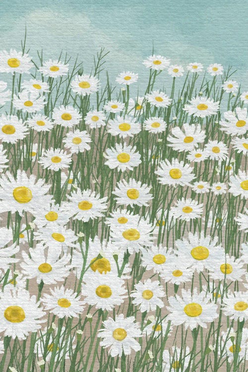 Daisies In The Sky