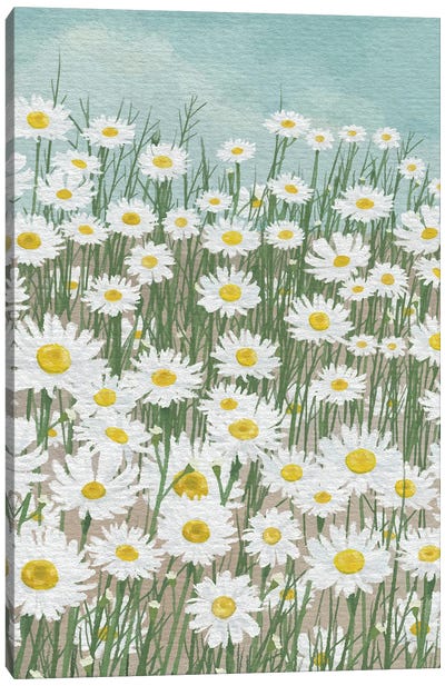 Daisies In The Sky Canvas Art Print - Daisy Art