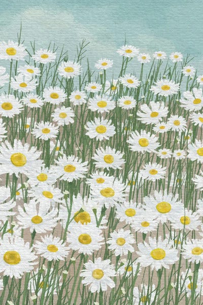 Daisies: Daisies In The Sky by Seven Trees Design