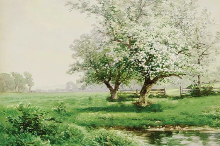 The Dreamy Field by Seven Trees Design wall art