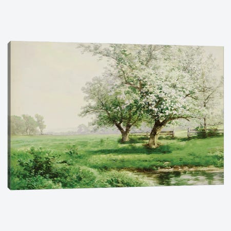 The Dreamy Field Canvas Print #STD235} by Seven Trees Design Canvas Print