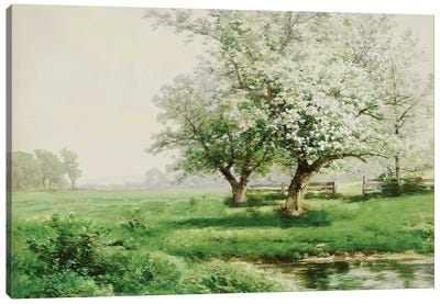 The Dreamy Field Canvas Art Print - Seven Trees Design