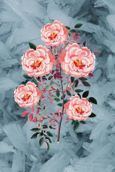 Fine Art Print: Velvet Petals by Seven Trees Design