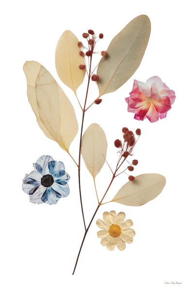 Faded Blossoms