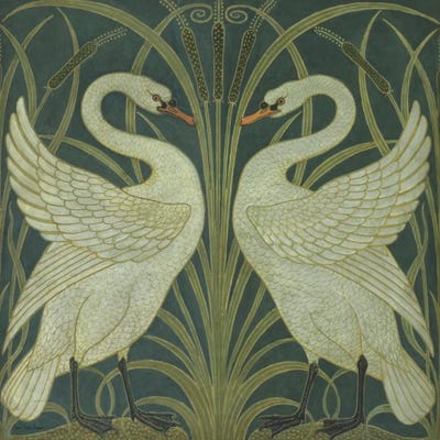 Canvas Print: Graceful Pair by Seven Trees Design - thumbnail