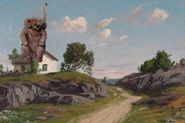 The Renaissance Safari