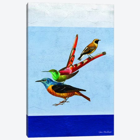 Stacked Birds Canvas Print #STD56} by Seven Trees Design Canvas Art Print
