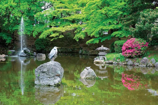 Kyoto: Heron In A Pond, Kyoto Prefecture, Japan by Shin Terada