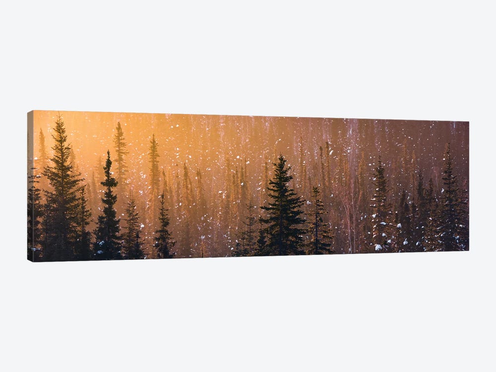 Light In The Woods by Stefan Hefele 1-piece Canvas Print
