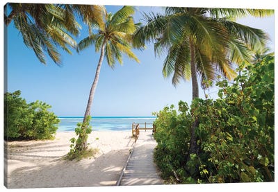 Lonely Paradise - Caribbean Canvas Art Print - Tropical Beach Art