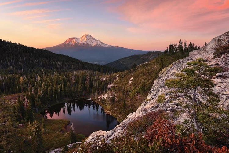 Mount Shasta, California - Between The Light by Stefan Hefele wall art