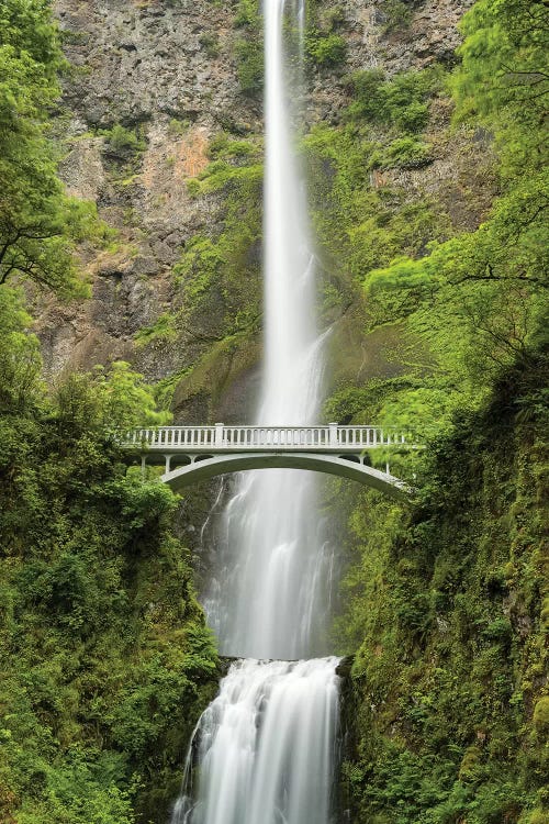 Multnomah Falls, Oregon by Stefan Hefele wall art