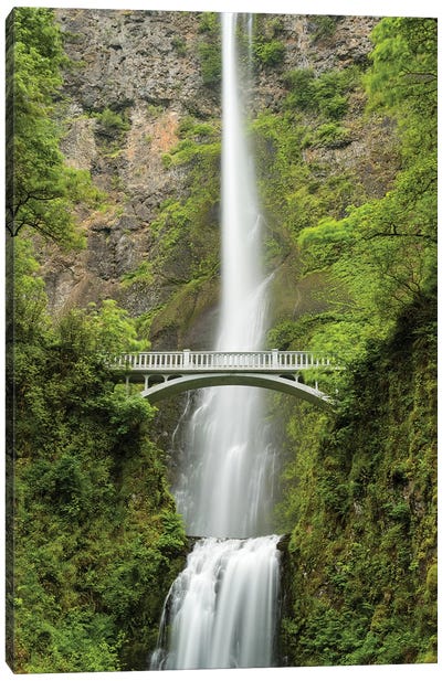 Multnomah Falls, Oregon Canvas Art Print - Waterfall Art
