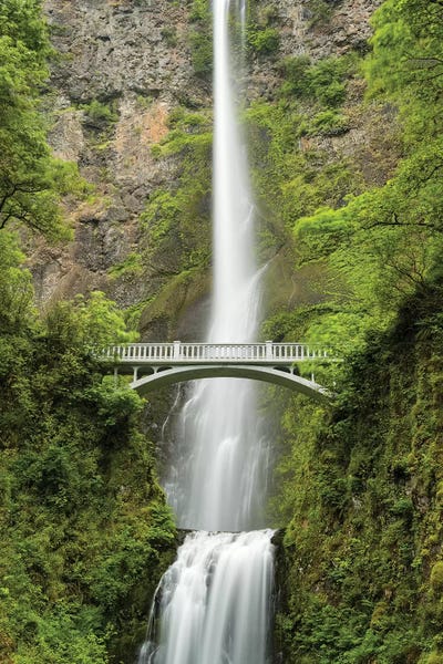 Oregon: Multnomah Falls, Oregon by Stefan Hefele
